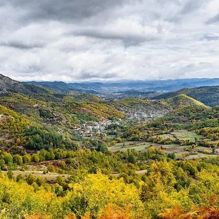 Family Lilium * 키르코보